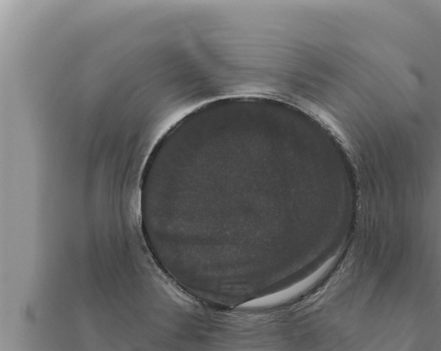 X0000111521324200908041235