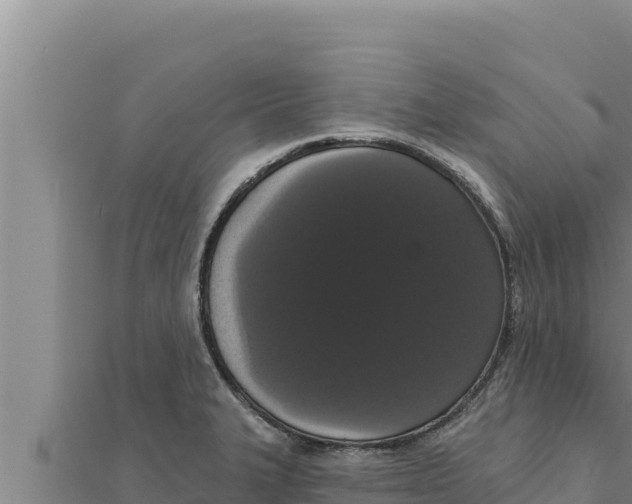 X0000111521327200908041235