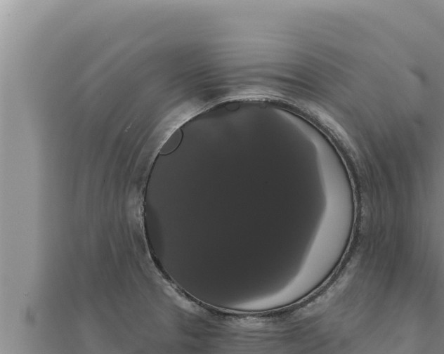 X0000111521329200908041235