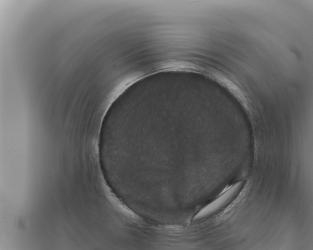 X0000111521330200908041235