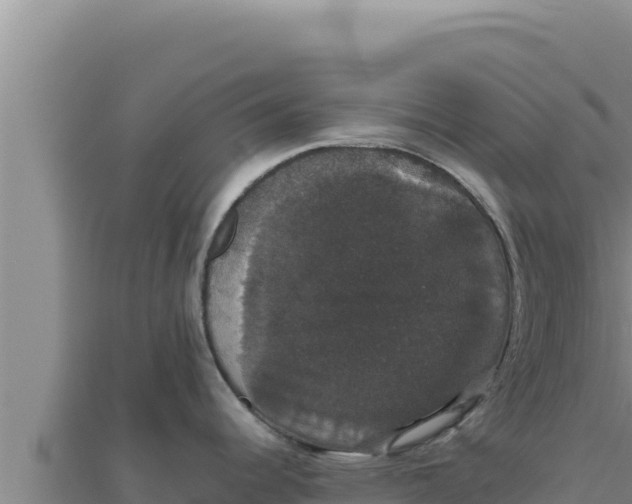 X0000111521344200908041236