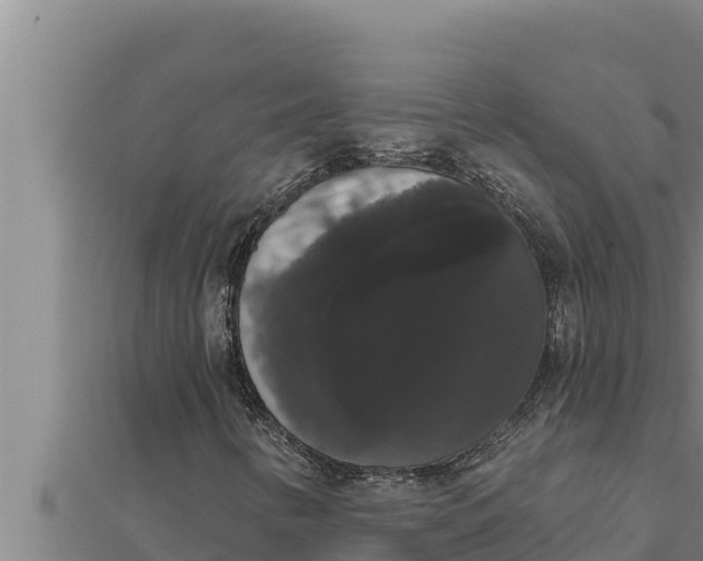 X0000111521346200908041235