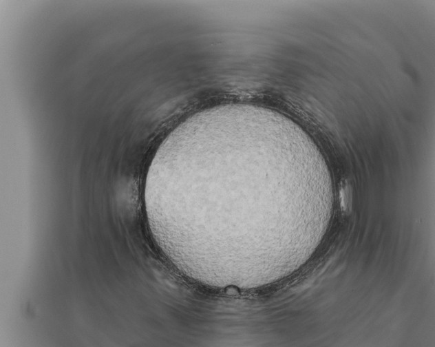 X0000111521347200908041235