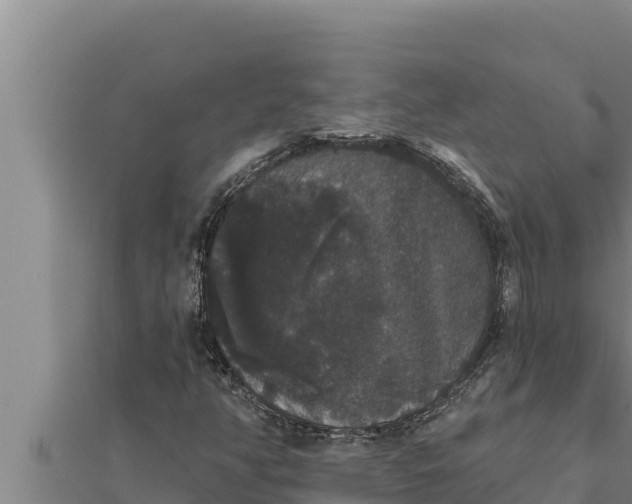 X0000111521350200908041235