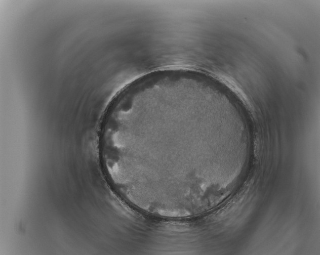 X0000111521356200908041235