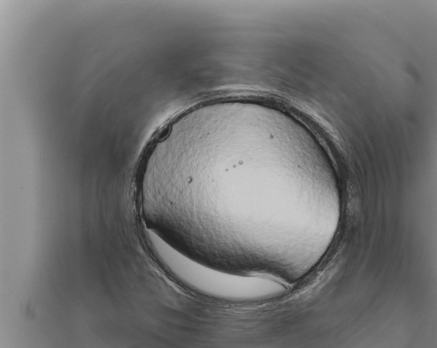 X0000111521357200908041235