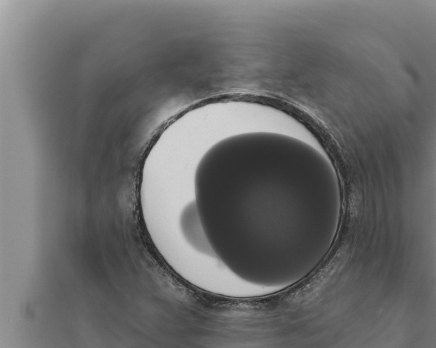 X0000111521359200908041235