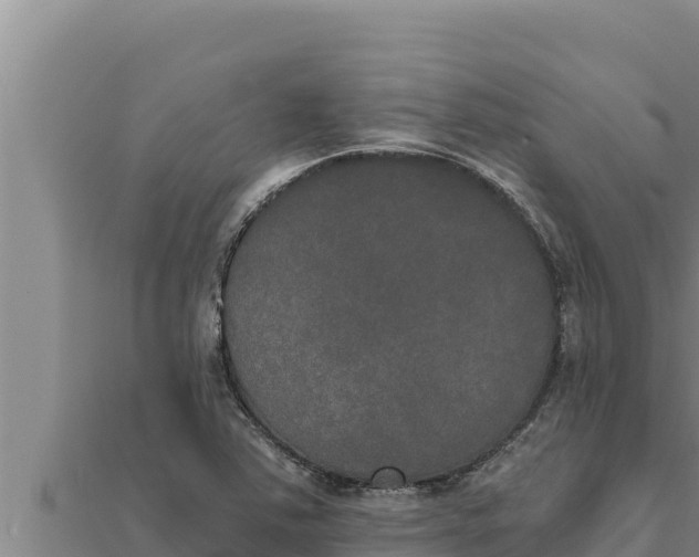 X0000111521363200908041235