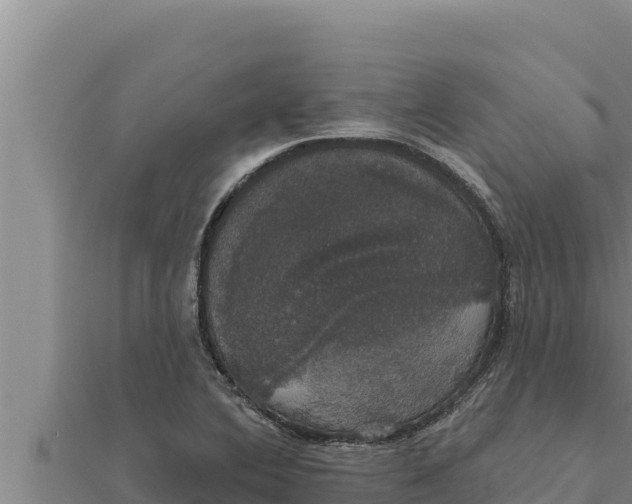 X0000111521364200908041235