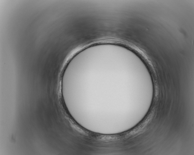 X0000111521366200908041235