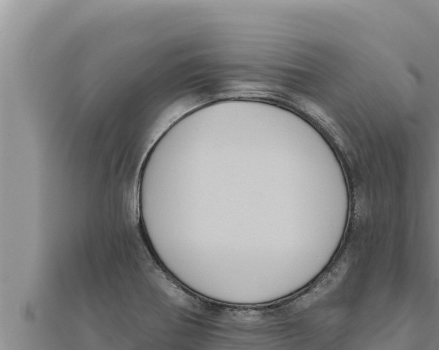 X0000111521370200908041235