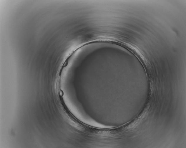 X0000111521371200908041235
