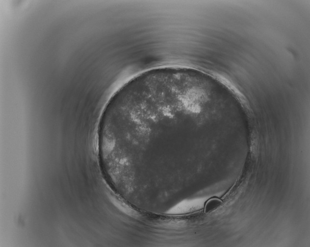 X0000111521372200908041235