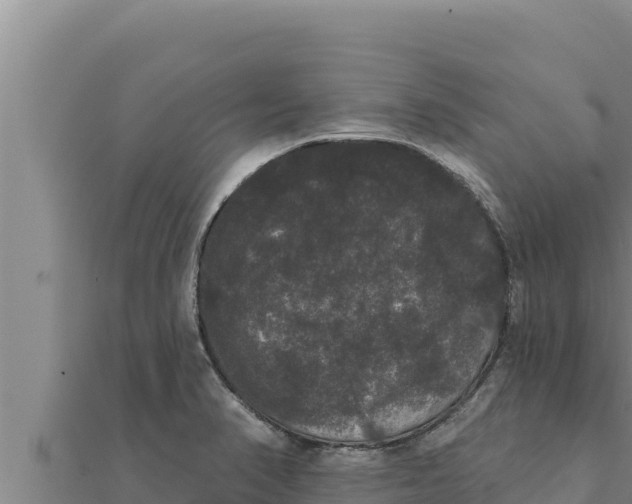 X0000111521374200908041235