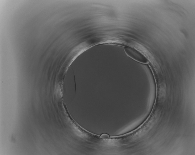 X0000111521377200908041235
