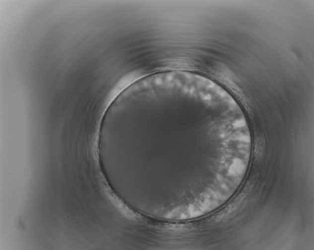 X0000111521378200908041235