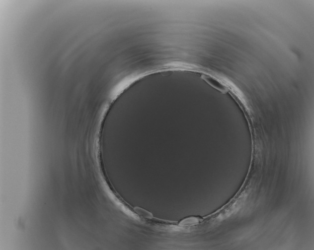 X0000111521381200908041234