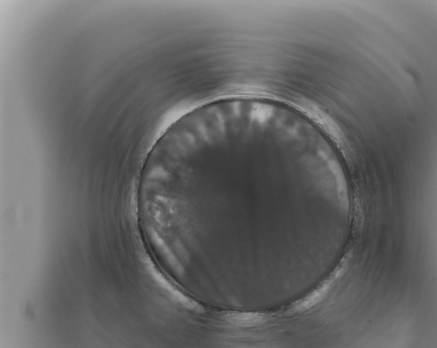 X0000111521382200908041234