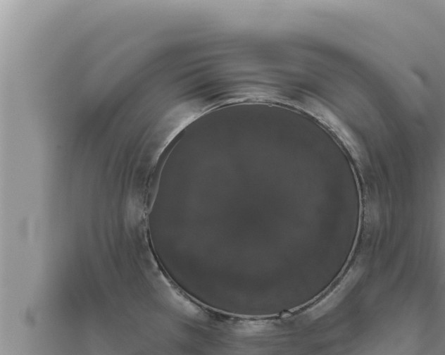 X0000111521385200908041234