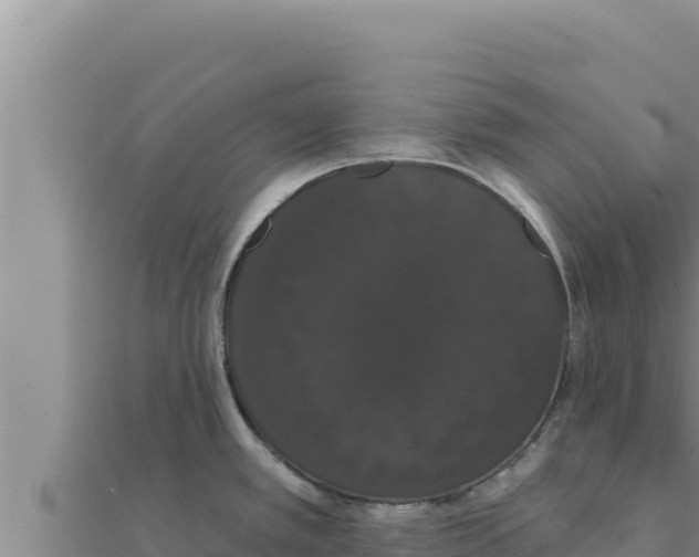 X0000111521389200908041234