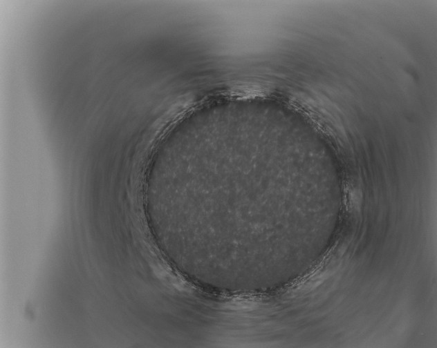 X0000111521393200908041234