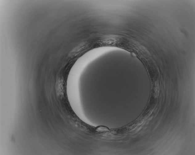 X0000111521394200908041234