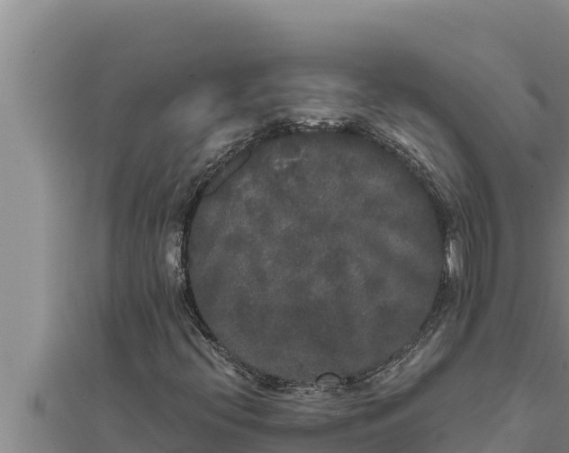 X0000111521396200908041234