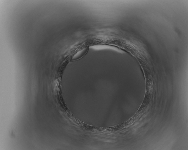 X0000111521397200908041234