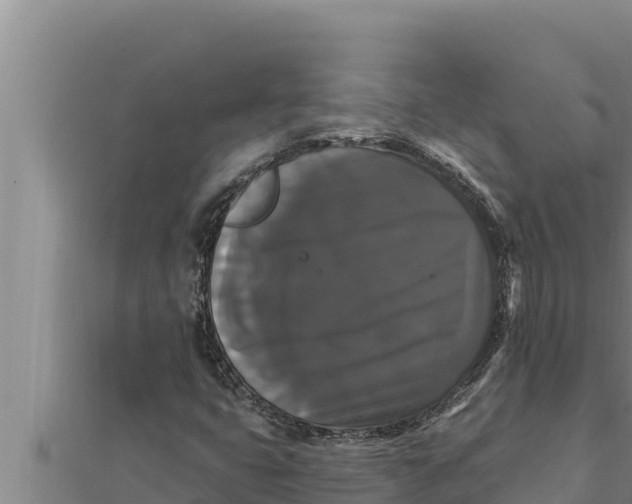 X0000111521399200908041234