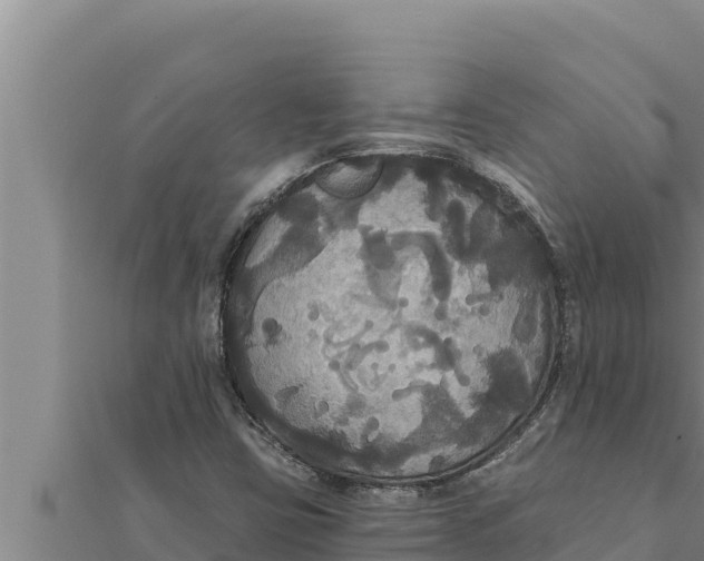 X0000111521403200908041234