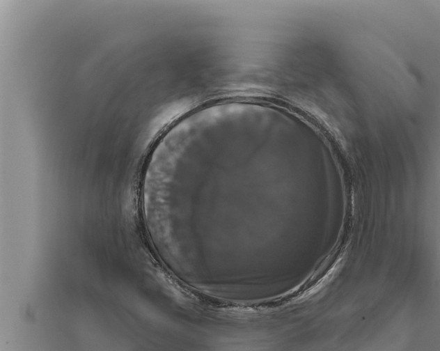 X0000111521405200908041234
