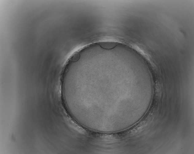 X0000111521408200908041234