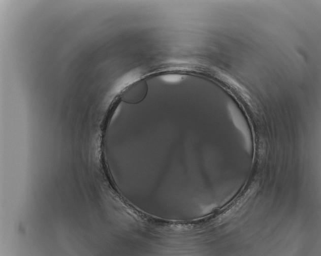 X0000111521411200908041234