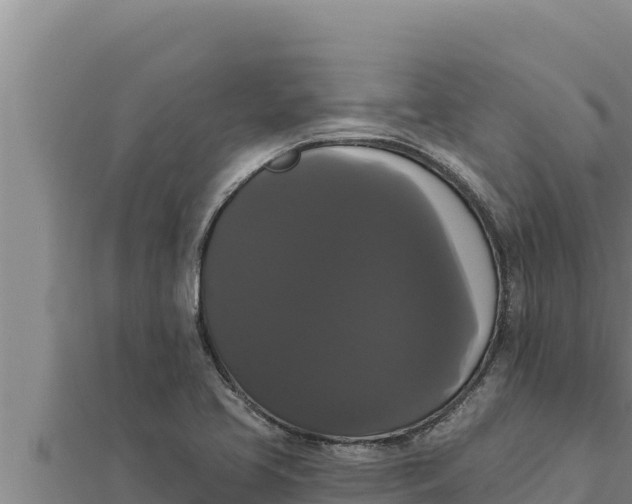 X0000111521413200908041234