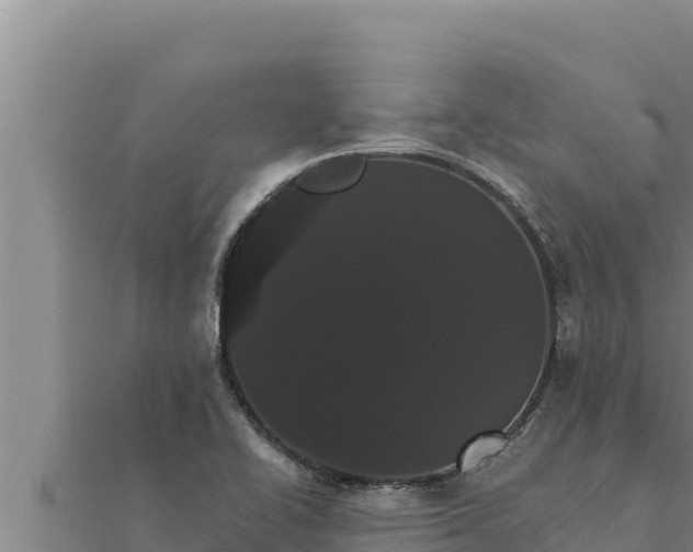 X0000111521414200908041234
