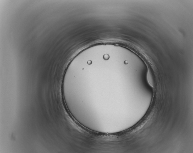 X0000111521417200908041234