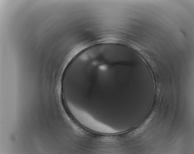 X0000111521418200908041234