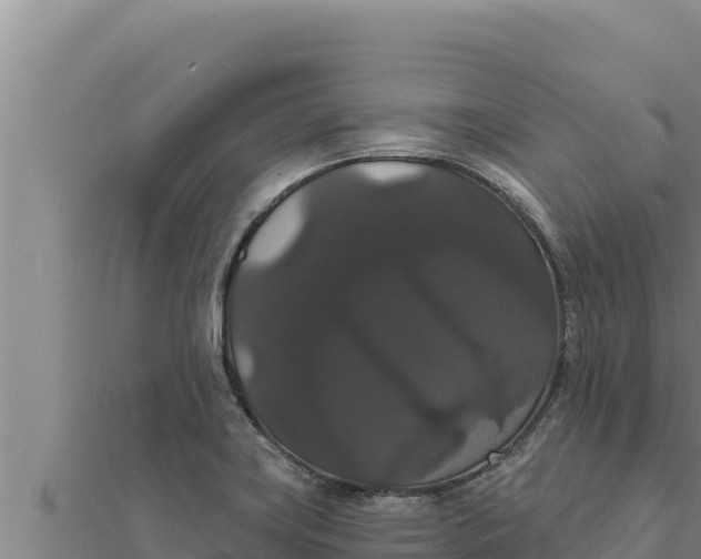 X0000111521419200908041234
