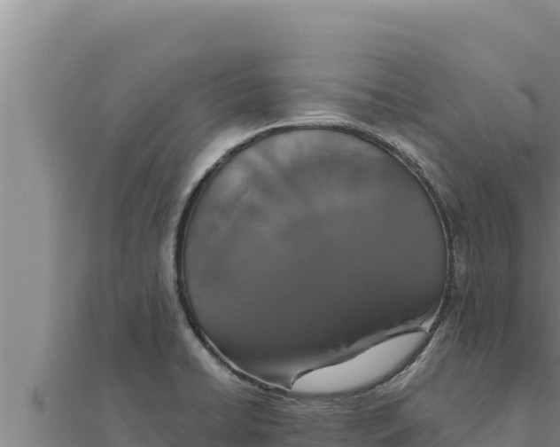 X0000111521422200908041234