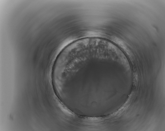 X0000111521427200908041234