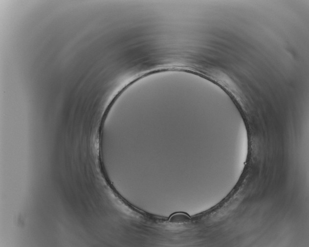 X0000111521428200908041234