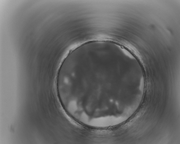 X0000111521429200908041234