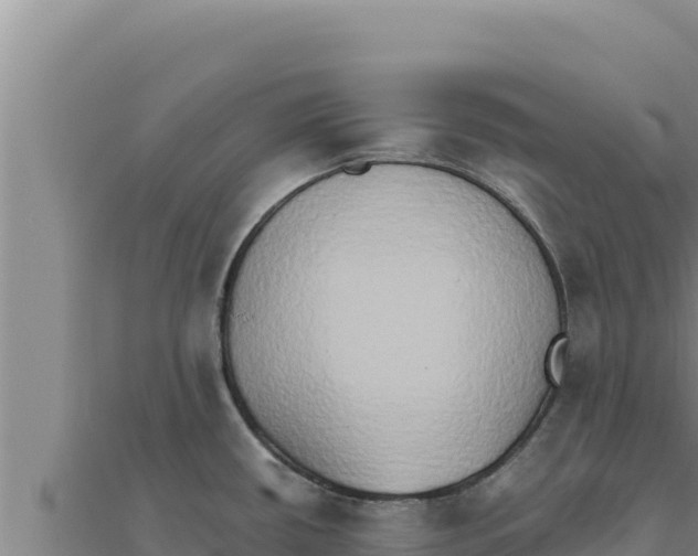 X0000111521434200908041234