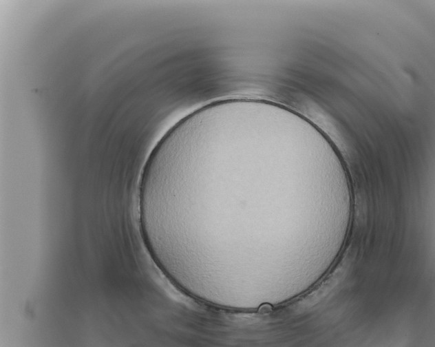 X0000111521436200908041234