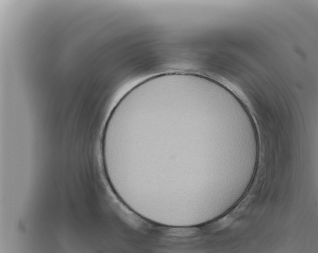 X0000111521440200908041234