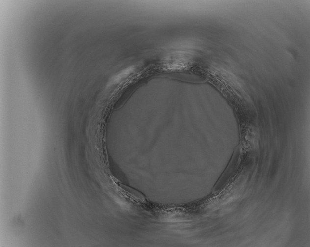 X0000111521441200908041234