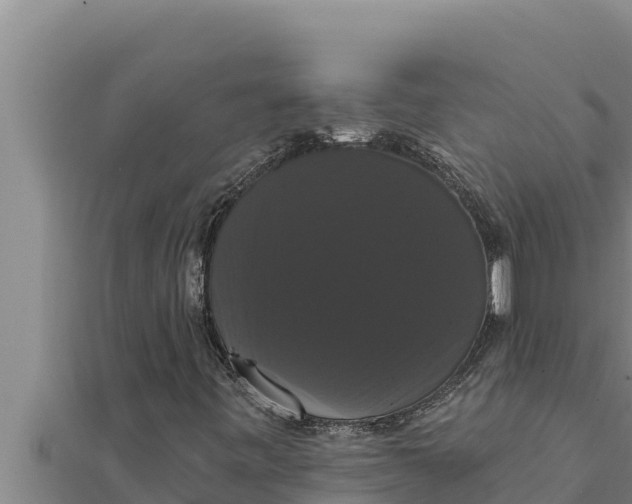 X0000111521443200908041234