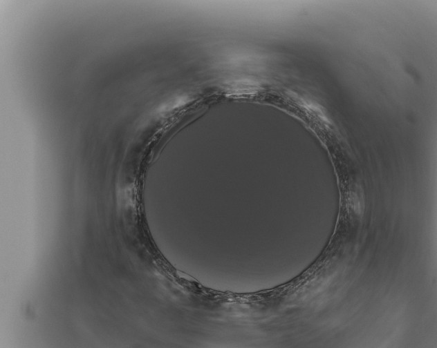 X0000111521445200908041234