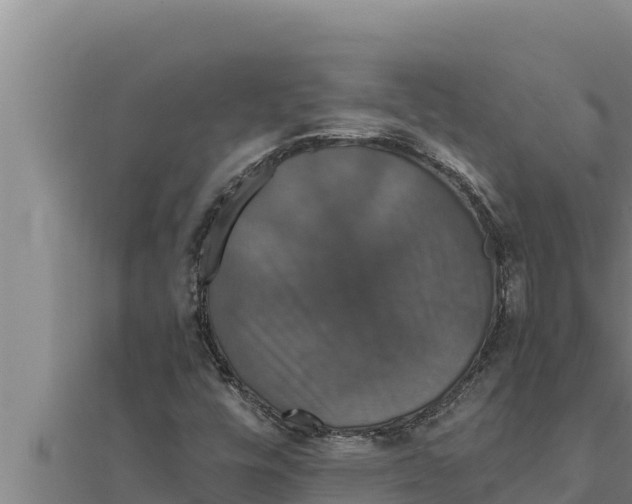 X0000111521448200908041233