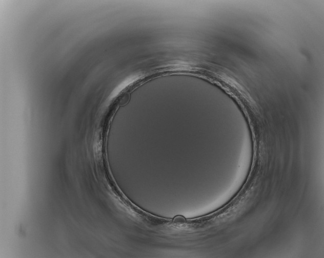 X0000111521450200908041233